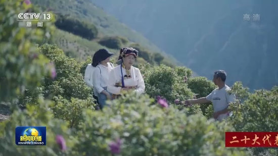 二十大代表风采丨陈望慧:大家一起致富是我的心愿